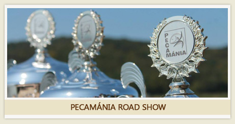 video-pecamania