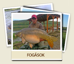 Fogsok