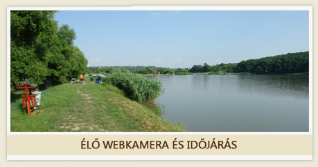 Webkamera